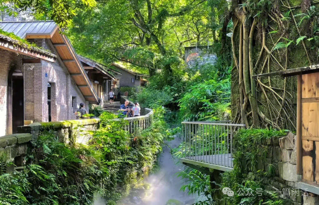 重庆各区县旅游攻略大全看看去过多少个