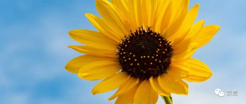 中考前，请告诉孩子：你只管努力，时间会告诉你答案