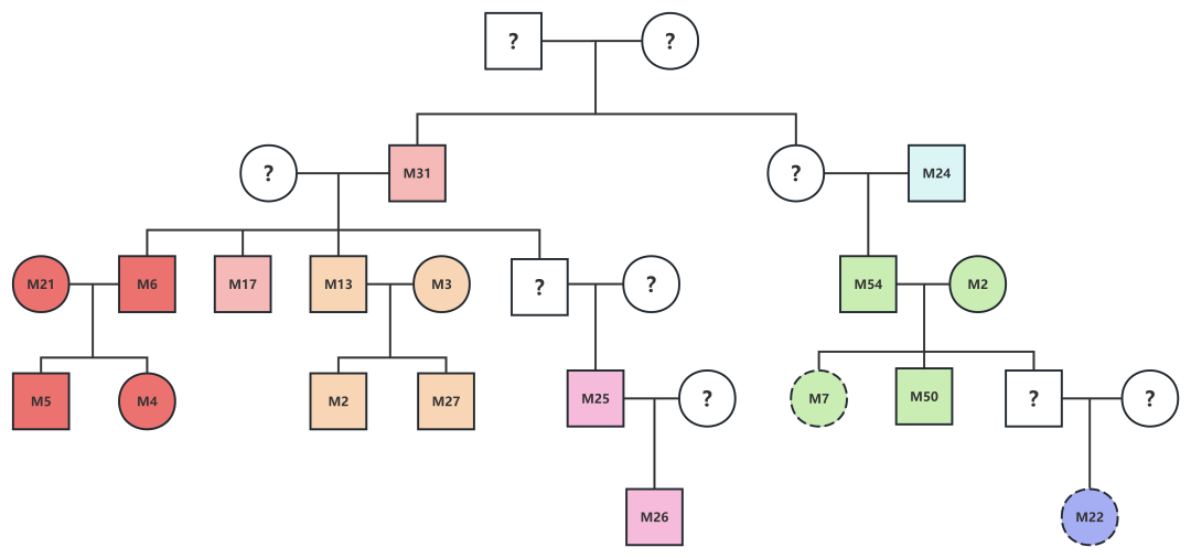 17城北平民墓地家族关系 (2).jpg