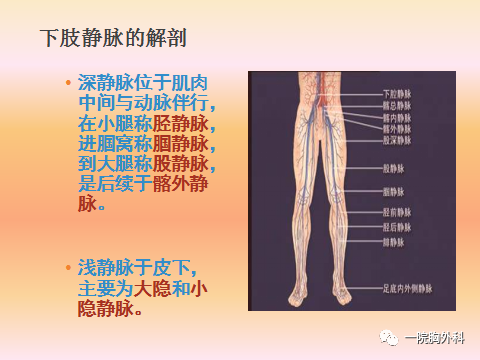 血栓泵是什么深静脉血栓预防处理及气压泵的使用_https://www.jmylbn.com_新闻资讯_第3张