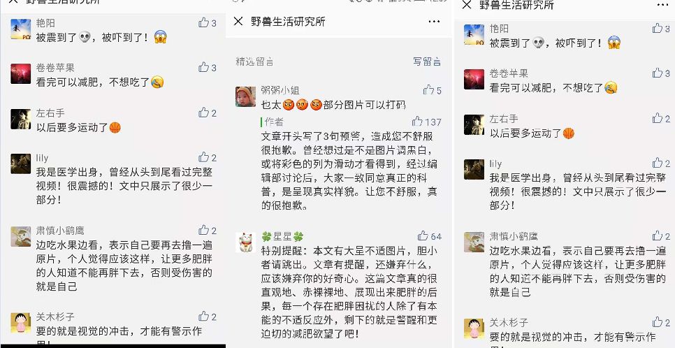 减肥手术有什么危害_减肥手术多少钱_手术减肥