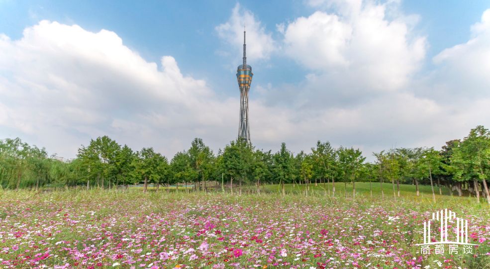 ΢ͼƬ_20190626093620