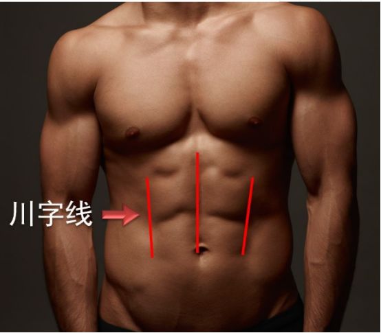 人鱼线 马甲线怎么练 力动康体健身器材 微信公众号文章阅读 Wemp