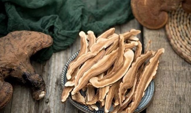 灵芝对人体10大功效与作用