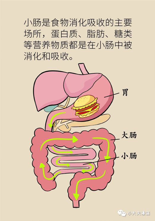 又便秘了？排便相幹知識，這篇文章說透了！ 健康 第9張