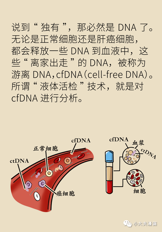 世界肝炎日：肝癌早期可治愈，篩查又有黑科技 健康 第20張