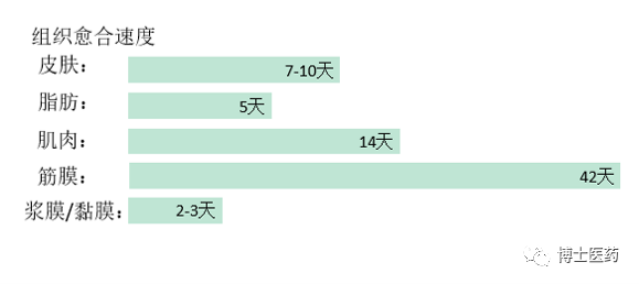 合成外缝线为什么贵医博士I 缝合材料的选择&缝合技巧_https://www.jmylbn.com_新闻资讯_第6张