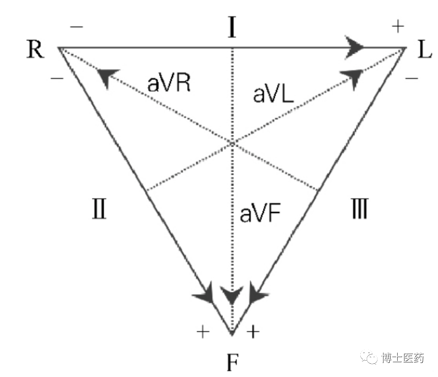 ecg导联脱落怎么办常见ECG导联连接异常分析_https://www.jmylbn.com_新闻资讯_第9张
