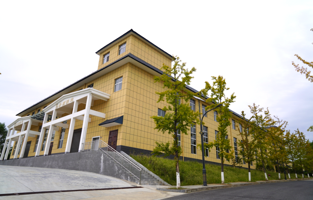 乡村振兴泸康先行年产2000吨猕猴桃果酒项目正式投产运营