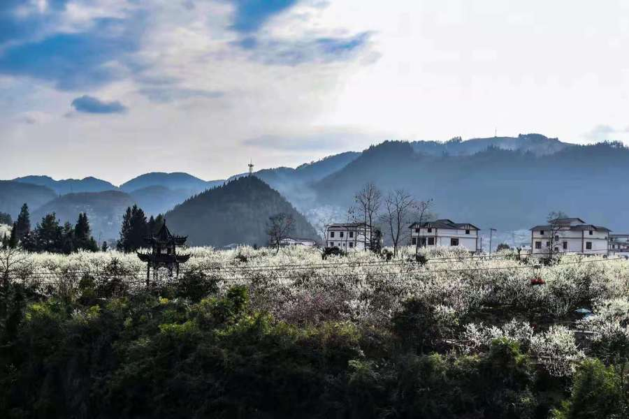 沿河南庄村三要素绘就秀美乡村新画卷