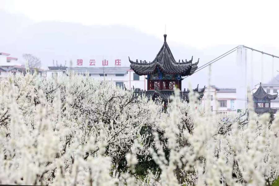 沿河南庄村三要素绘就秀美乡村新画卷