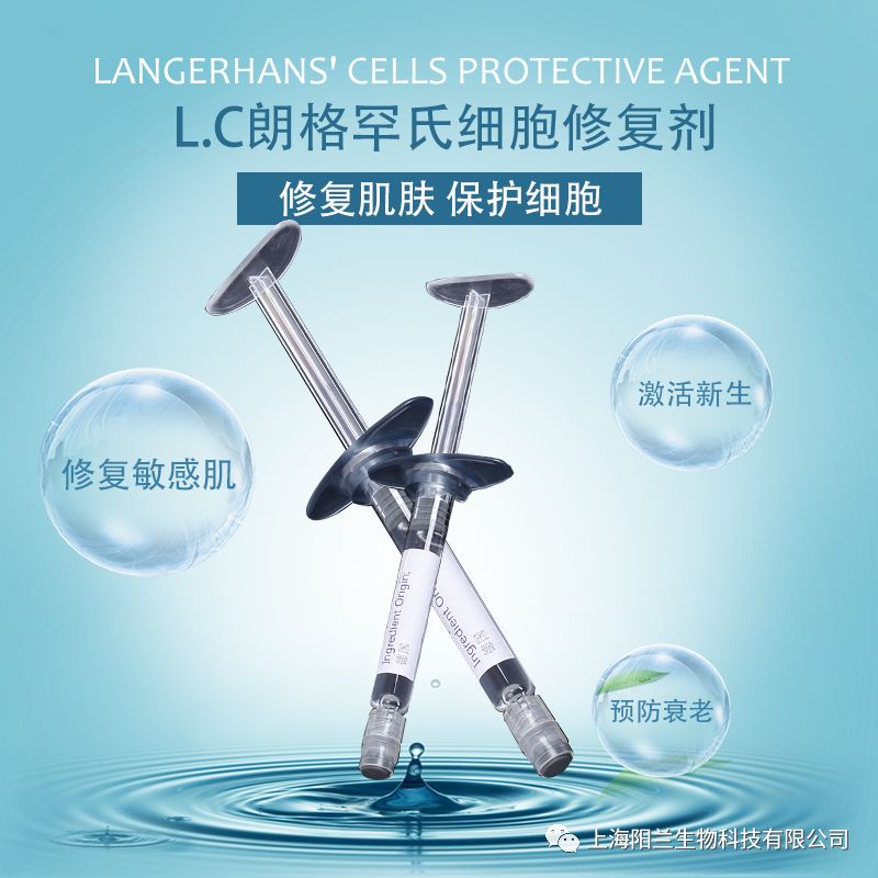 L.C朗格罕氏细胞修复剂