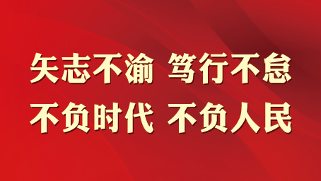 踔厉奋发笃行不怠海报图片