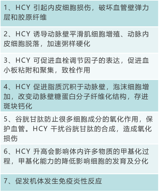 同型半氨酸怎么化验读懂体检单丨同型半胱氨酸(Hcy)解读_https://www.jmylbn.com_新闻资讯_第2张