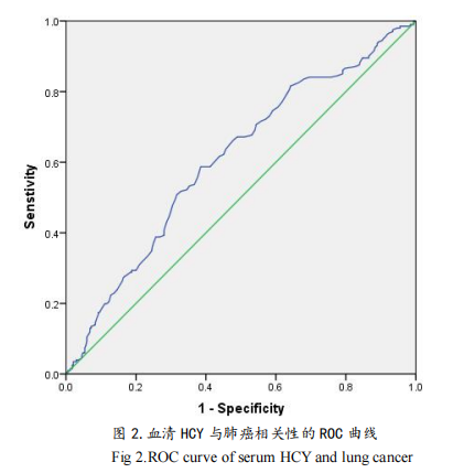 同型半氨酸怎么化验读懂体检单丨同型半胱氨酸(Hcy)解读_https://www.jmylbn.com_新闻资讯_第4张