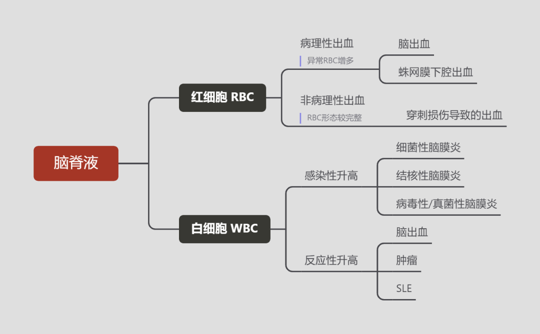 rbc直方图怎么看体液检测血细胞散点图看不懂？手把手教你分析_https://www.jmylbn.com_新闻资讯_第2张