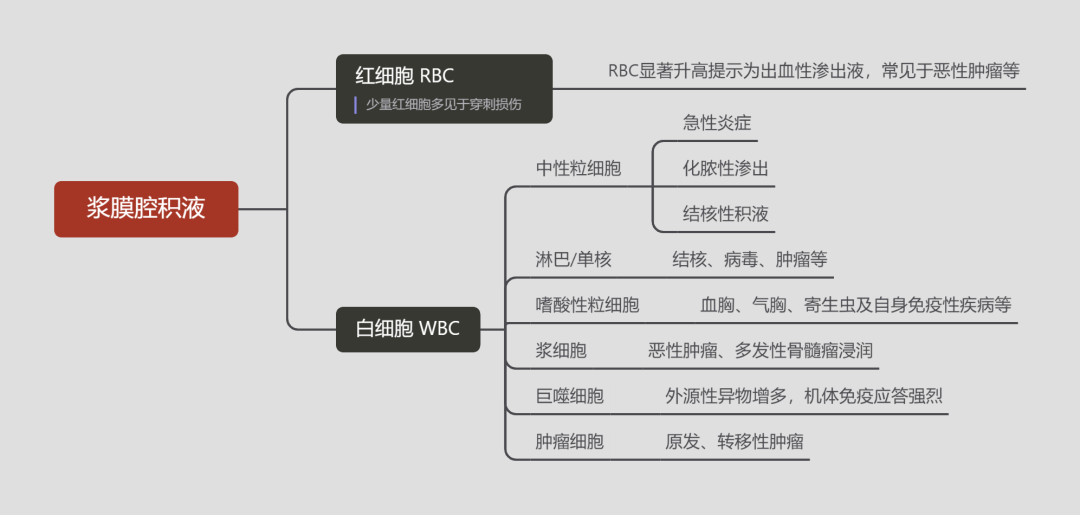 rbc直方图怎么看体液检测血细胞散点图看不懂？手把手教你分析_https://www.jmylbn.com_新闻资讯_第3张