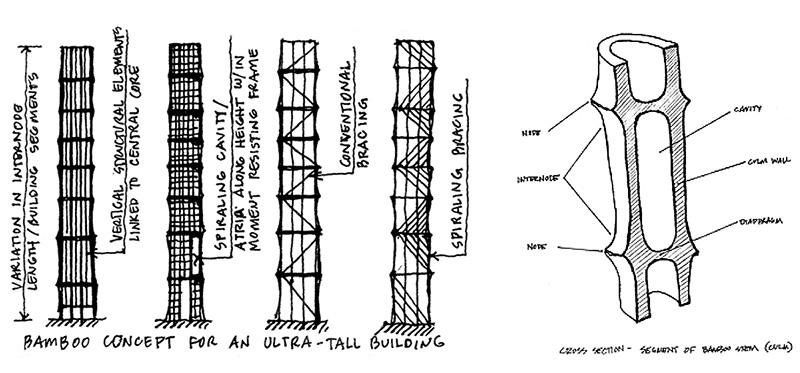竹结构 轻质高强 专筑 微信公众号文章阅读 Wemp