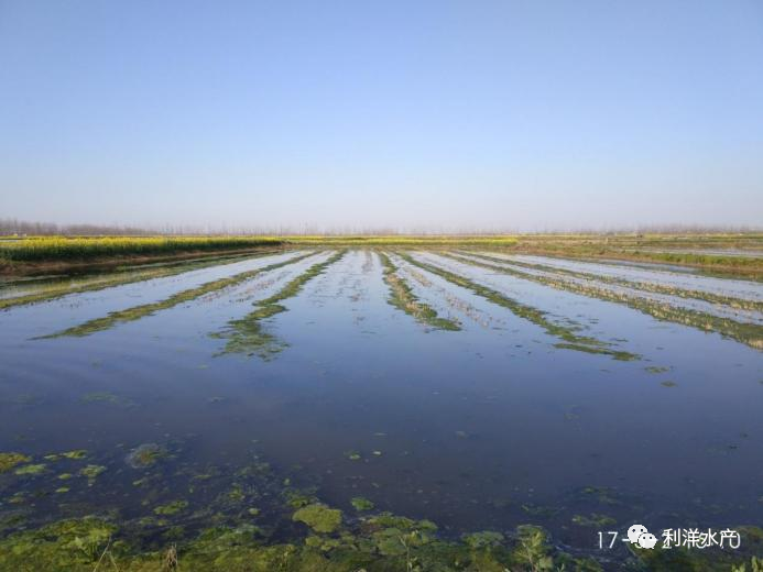 致富龙虾养殖小视频_致富经养殖小龙虾_致富龙虾养殖小视频大全