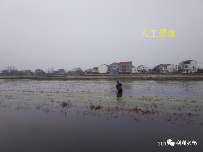 致富经养殖小龙虾_致富龙虾养殖小视频_致富龙虾养殖小视频大全