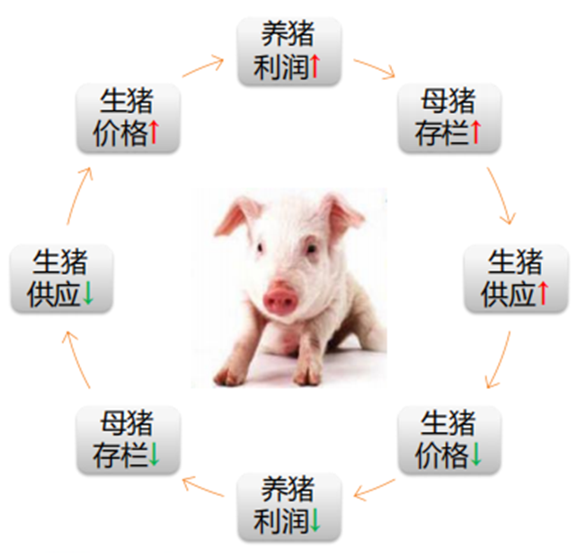 生猪期货知识(图26)