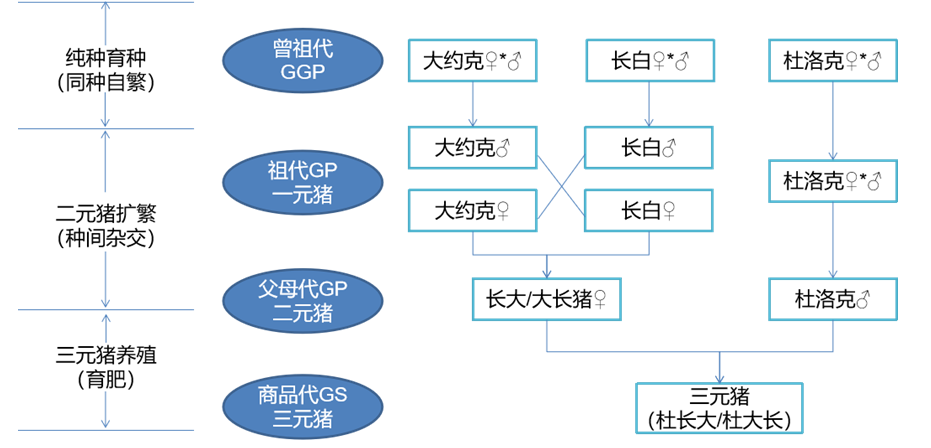 生猪期货知识(图2)