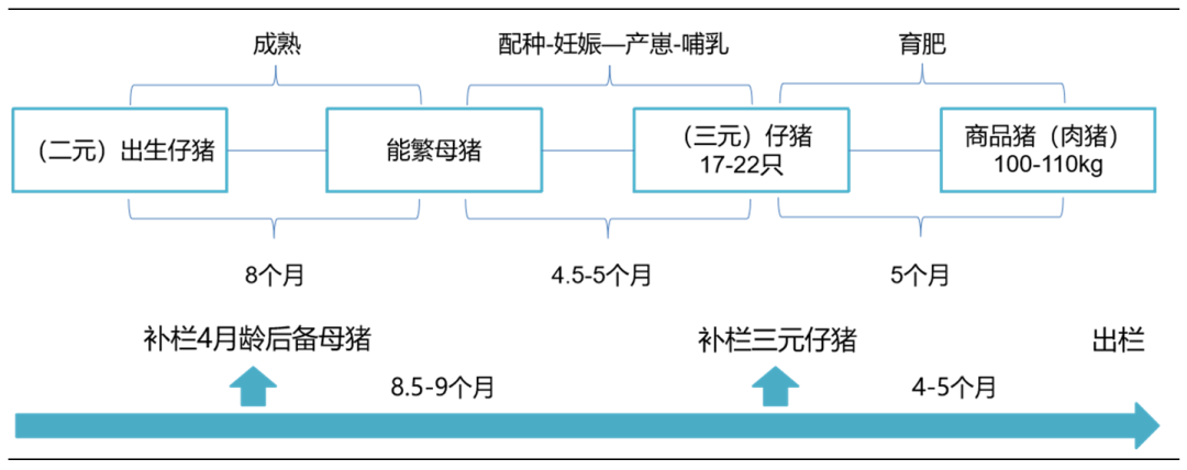 生猪期货知识(图3)