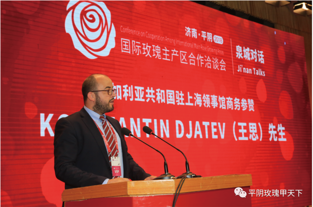 【玫瑰史话】平阴玫瑰产业发展大事记 【玫瑰史话】平阴玫瑰产业发展大事记