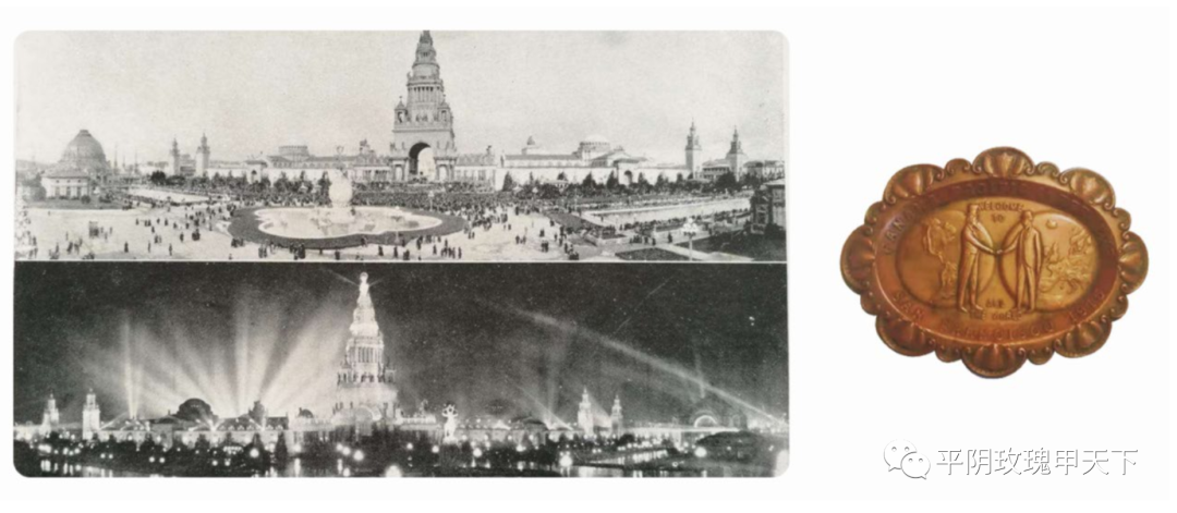 【玫瑰史话】平阴玫瑰产业发展大事记 【玫瑰史话】平阴玫瑰产业发展大事记