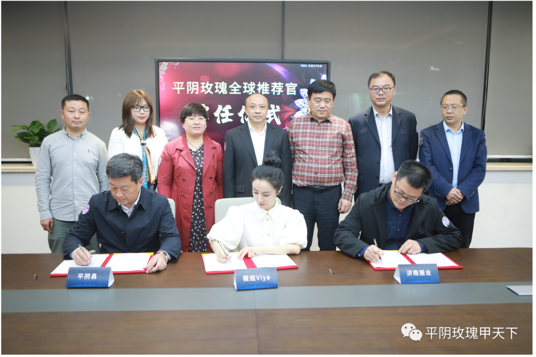 【玫瑰史话】平阴玫瑰产业发展大事记 【玫瑰史话】平阴玫瑰产业发展大事记