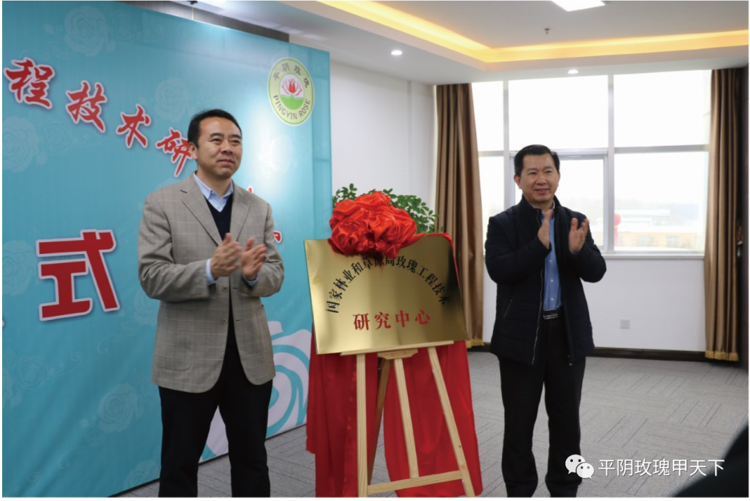 【玫瑰史话】平阴玫瑰产业发展大事记 【玫瑰史话】平阴玫瑰产业发展大事记