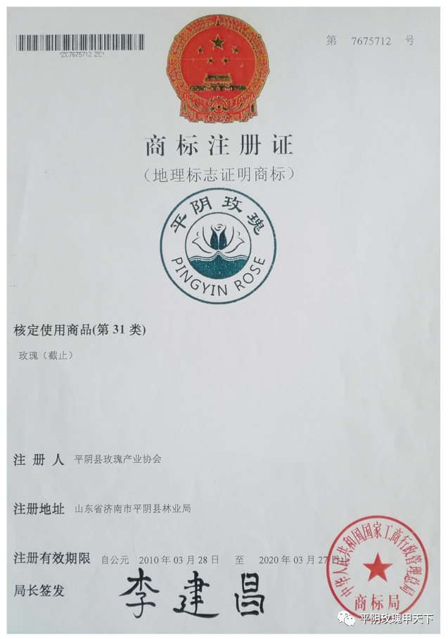 【玫瑰史话】平阴玫瑰产业发展大事记 【玫瑰史话】平阴玫瑰产业发展大事记