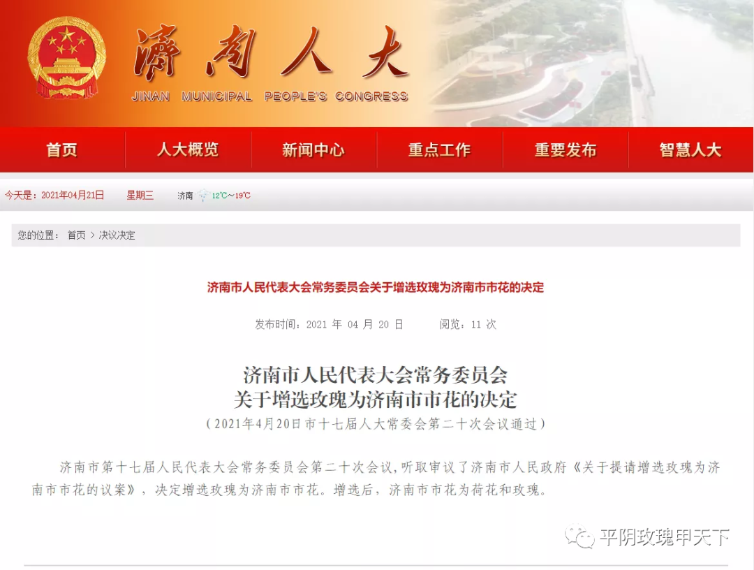 【玫瑰史话】平阴玫瑰产业发展大事记 【玫瑰史话】平阴玫瑰产业发展大事记