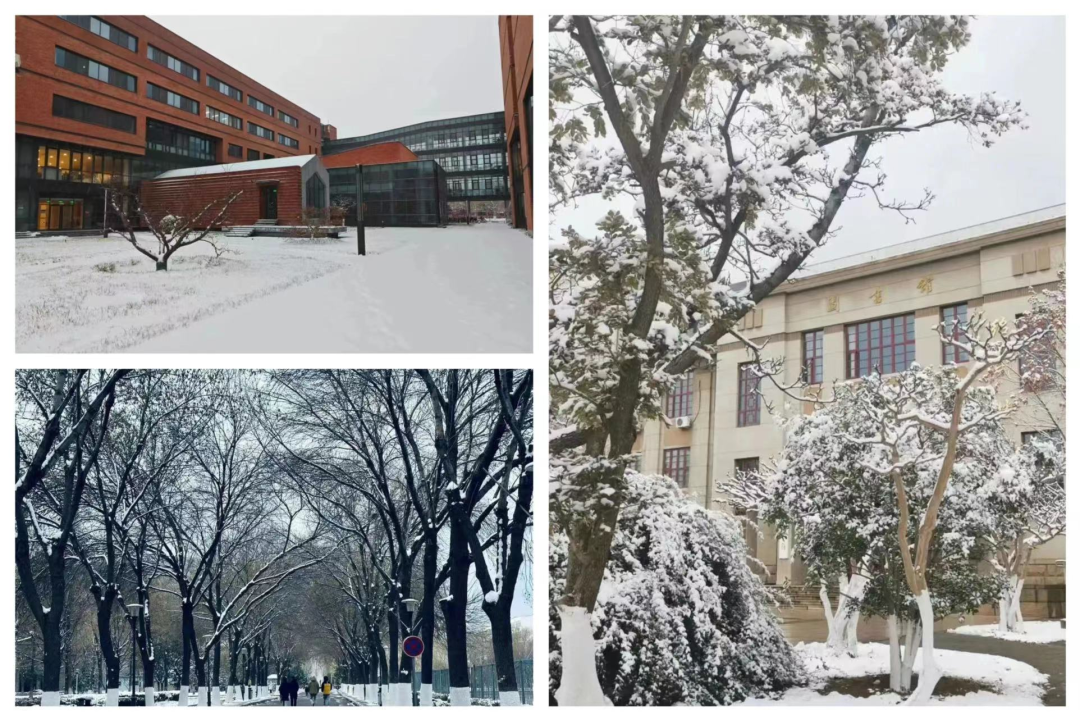 山东建筑大学雪景图片