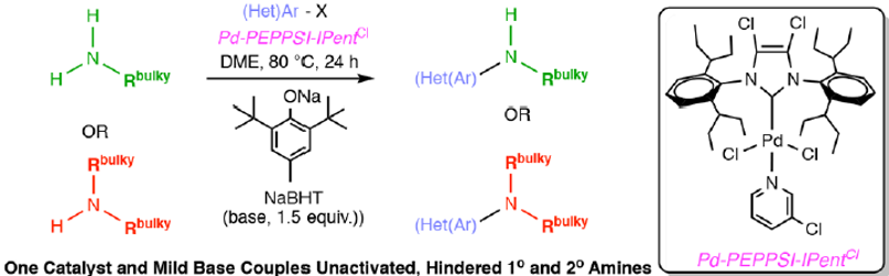 Pd-PEPPSI-IPentCl和Pd-PEPPSI-IHeptCl的应用简介 第5张