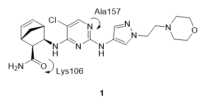 吡唑衍生物在药物研发中的应用 第2张
