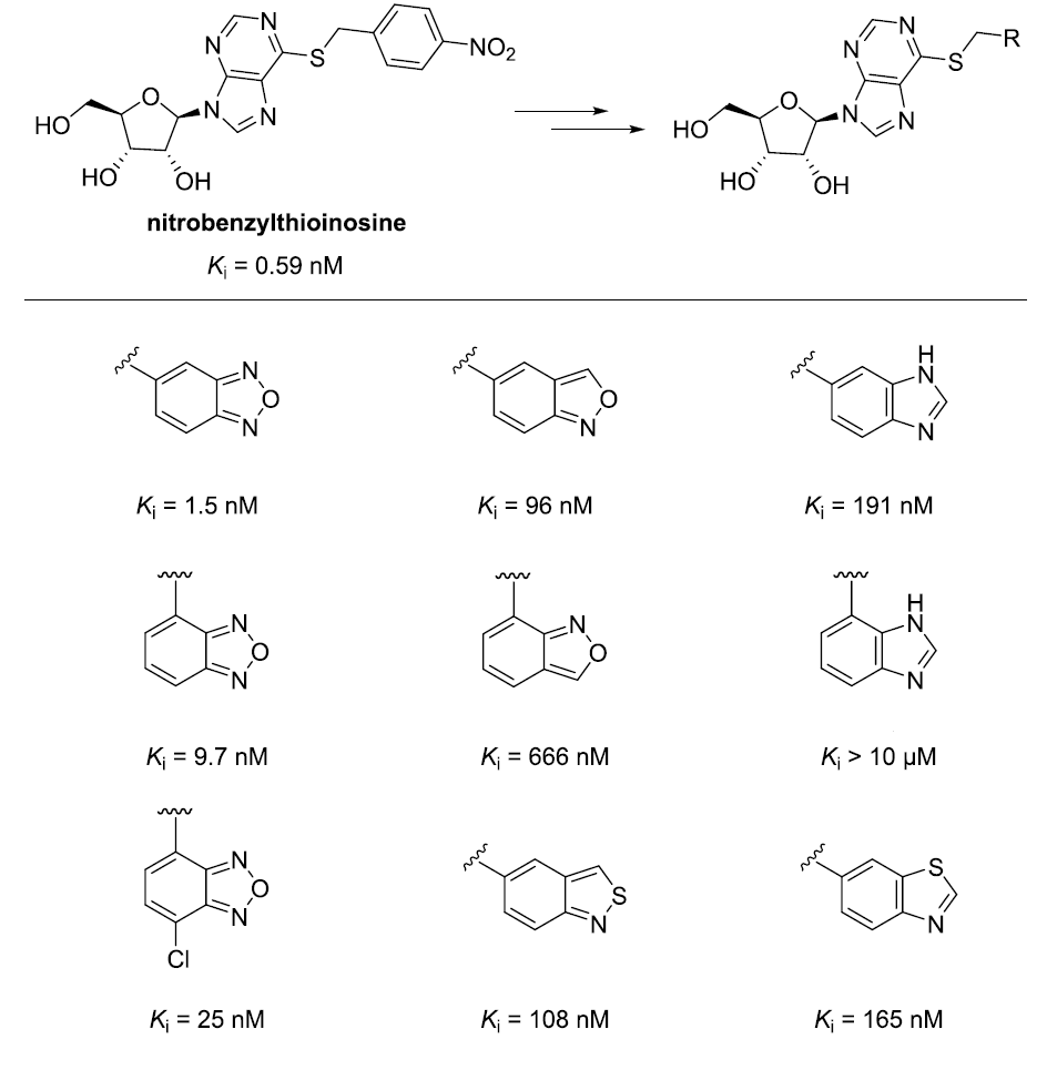 药物化学中的呋咱优势骨架 第3张
