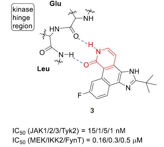 吡啶酮骨架在药物研发方面的应用进展 第4张
