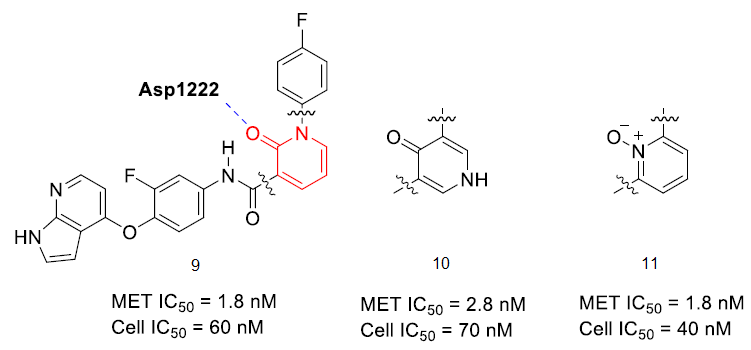吡啶酮骨架在药物研发方面的应用进展 第7张