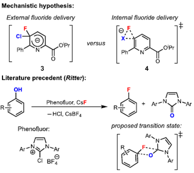 SNAr亲核氟化反应的研究进展 第3张
