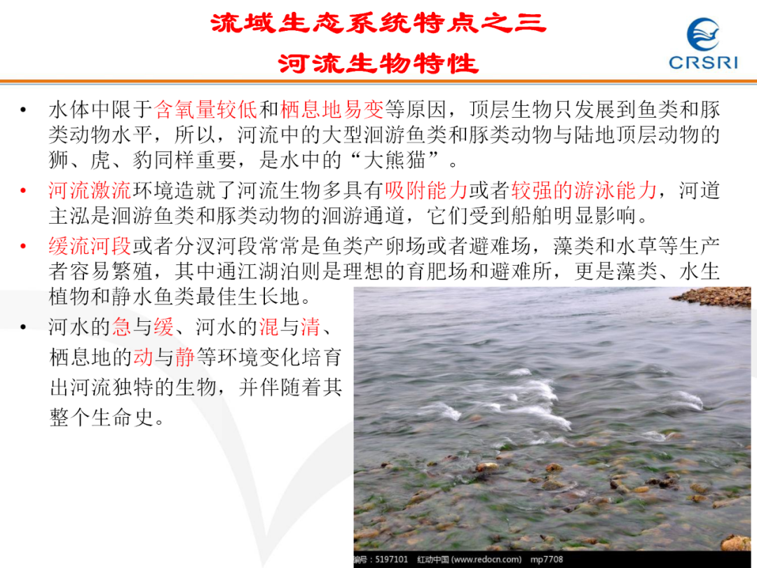 PPT~山水林田湖草生态修复理论及实践的图13