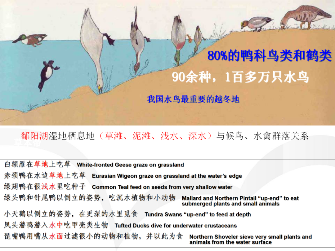 PPT~山水林田湖草生态修复理论及实践的图15