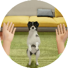 养狗狗模拟游戏