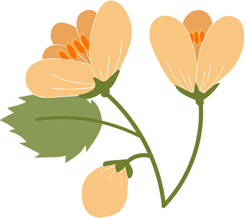 什么是远程监护互联网居家服务— —远程胎心监护，为生命保驾护航_https://www.jmylbn.com_新闻资讯_第5张