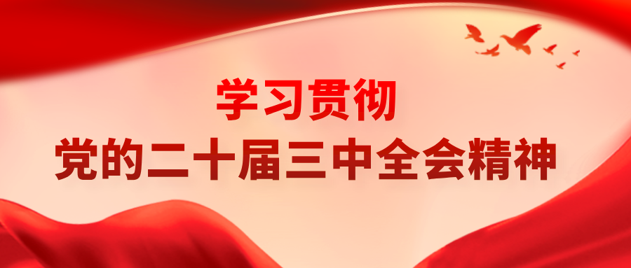 集团动态｜立足岗位 推动转型发展——上海交易集团系统深入学习贯彻党的二十届三中全会精神（四）