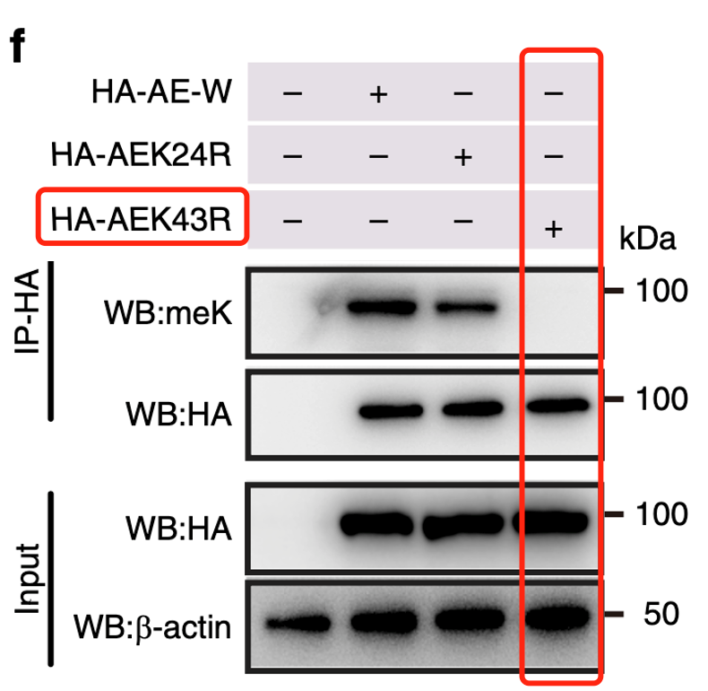 搜狗高速浏览器截图20240923114359