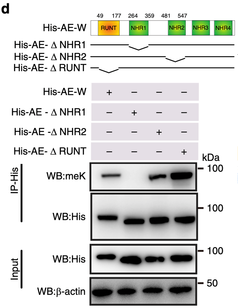 搜狗高速浏览器截图20240923114456