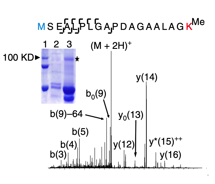 搜狗高速浏览器截图20240923114436