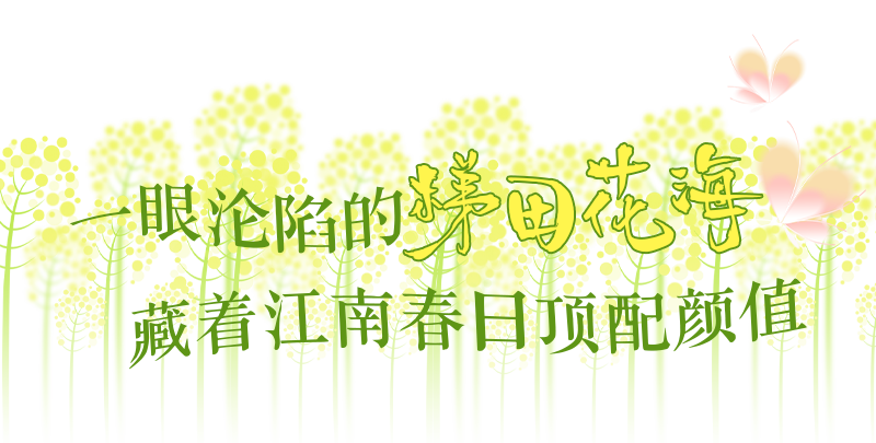 a9e344b790b8d4a8a2b91ce34dc1afd8.png
