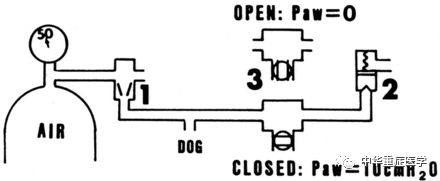 什么是有创呼吸机图片呼吸机：过去、现在和未来（二）_https://www.jmylbn.com_新闻资讯_第8张